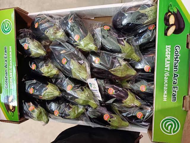 بادمجان صادراتی گلخانه